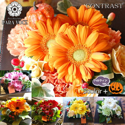 ハロウィンで喜ばれる花のおすすめプレゼント30選 もらって嬉しいプレゼントランキング Ocruyo オクルヨ