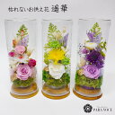 お供え 最短翌日配達 お盆 新盆 初盆 花 ギフト お供え用ドームプリザ 遥華はるか 仏壇 お供え 花 仏花 ペット 花 お悔やみ プリザーブドフラワー 御供え...