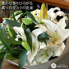 https://thumbnail.image.rakuten.co.jp/@0_mall/paravoce/cabinet/lily/lily_0.jpg