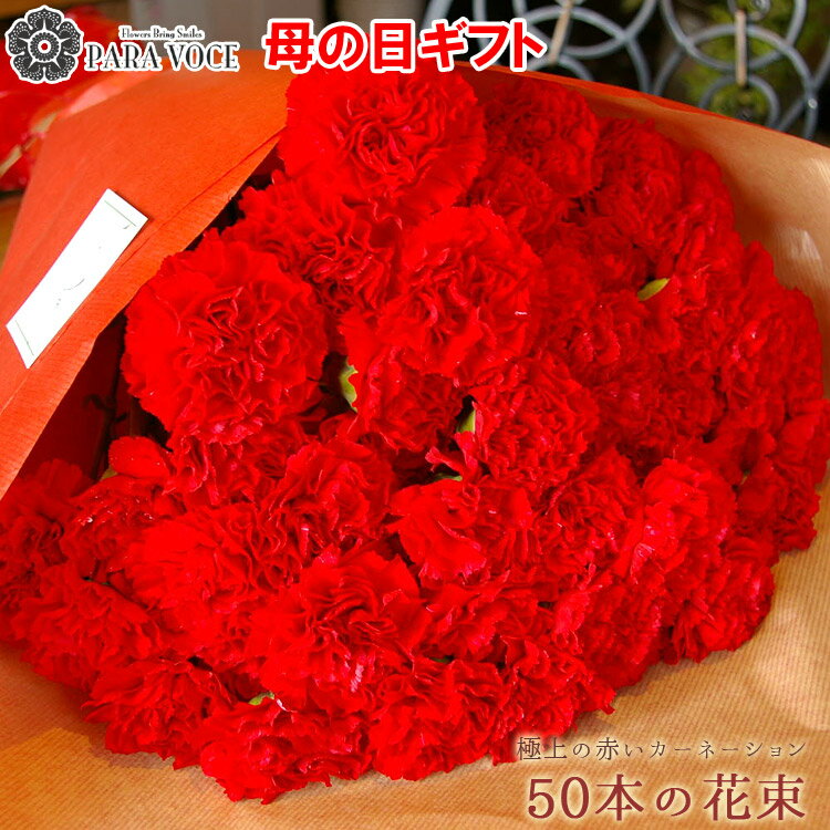 カーネーション 遅れてごめんね SALE 母の日 ギフト 赤いカーネーションの花束 50本の花束 【 母の日 プレゼント ははの日 母の日 カーネーション 母の日 花 ギフト 花束 赤 極上 赤いカーネーション 大輪 母の日ギフト プレゼント 感動の花束 母の日ギフト 生花 贈り物 送料無料】