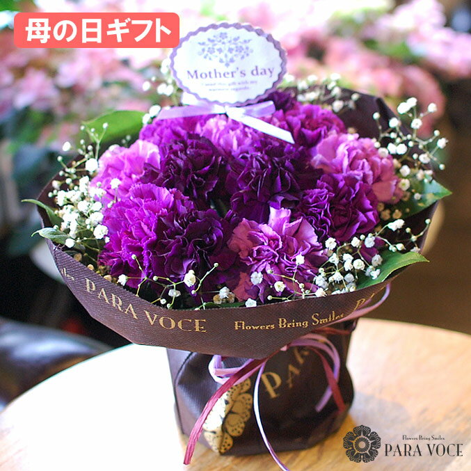 カーネーション 母の日 ギフト カーネーション ムーンダストの花束(S 12本) 【 ははの日 母の日 ギフト 花 母の日ギフト 花瓶が要らない 花束 スタンディングブーケ ダズンフラワー ギフト 生花 花ギフト おしゃれ 母の日 プレゼント 送料無料】