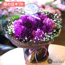 ＼先着200円クーポン対象／ 母の日 ギフト カーネーション ムーンダストの花束(S 12本) 【 ははの日 母の日 ギフト 花 母の日ギフト 花瓶が要らない 花束 スタンディングブーケ ダズンフラワー ギフト 生花 花ギフト おしゃれ 母の日 プレゼント 送料無料】