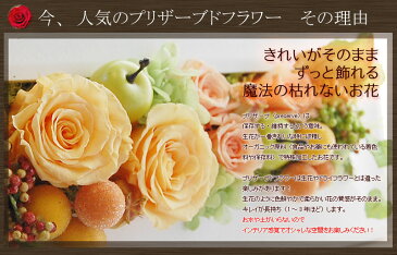 【花 ギフト フレーム プリザ 】プリザーブドフラワー 壁掛け レクタングル クリアケース付【誕生日 プレゼント 花 ギフト 誕生日プレゼント 女性 花 インテリア 新築祝い 退職祝い 開店祝い 開業祝い 翌日配達 】