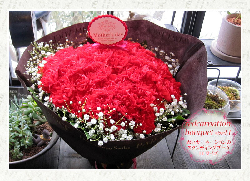 【母の日 超早割 10％OFF】2026 母の日 ギフト 母の日限定 赤いカーネーションのスタンディングブーケ LLサイズ（48本）母の日 カーネーション 母の日 プレゼント 母の日 花 ギフト 赤いカーネーションの花束 おしゃれ 花瓶がいらない 生花 送料無料