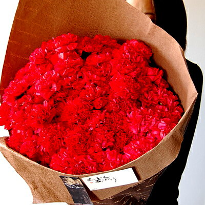 【母の日 超早割 10％OFF】2026 ははの日 母の日 プレゼント 赤いカーネーション100本の花束 母の日 カーネーション驚きのボリューム 母の日 花 母の日 ギフト 極上 赤いカーネーション 花束 感動の花束 母の日 花ギフト おしゃれ 生花 贈り物 送料無料
