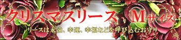 クリスマスリース 30〜34cm【クリスマスプレゼント 贈り物 クリスマスリース 玄関 クリスマス リース オーナメント ナチュラル 赤 壁飾り プレゼント インテリア ハンドメイドリース クリスマスリース 誕生日プレゼント あす楽】