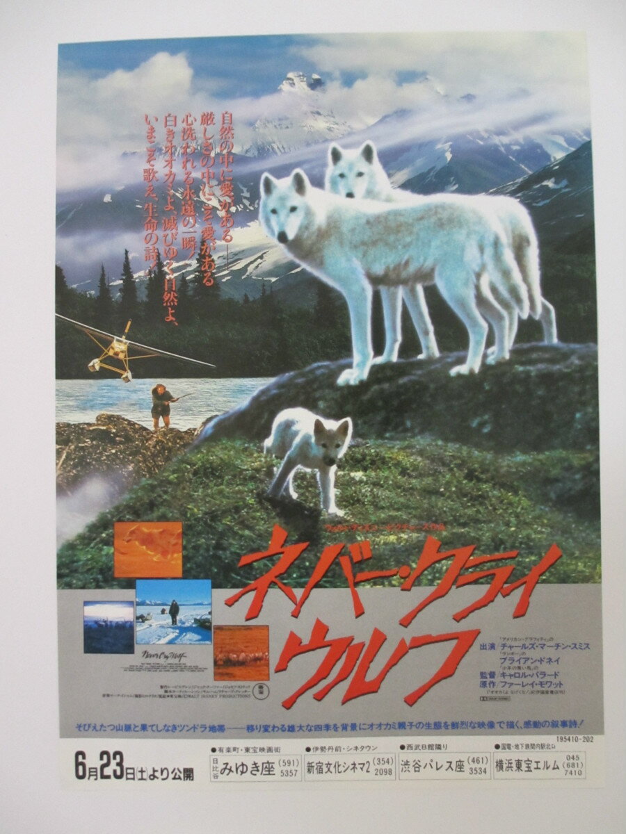 【映画チラシ】ネバー・クライ ウルフ