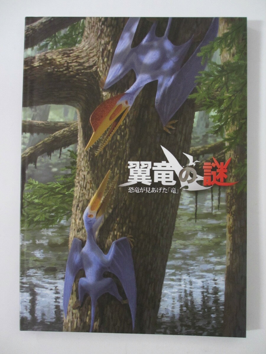 【中古パンフレット】翼竜の謎-恐竜が見上げた「竜」 福井県立恐竜博物館