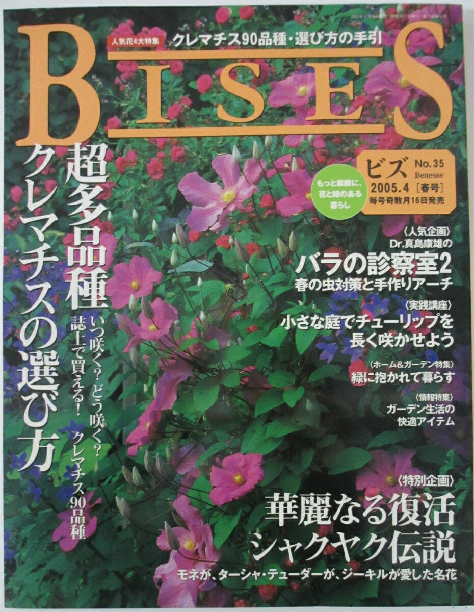 【中古】ビズ No.35 春号 2005年