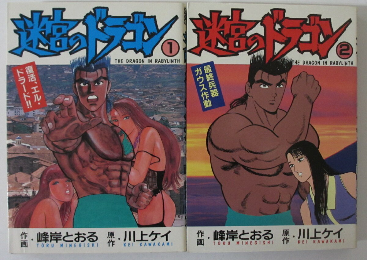 Rakuten - 【中古コミック】迷宮のドラゴン 全巻セット(1.2巻)峰岸とおる・川上ケイ