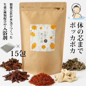 入浴剤 疲労 温泉 生薬のめぐり湯 30g×15包入り お風呂 松田医薬品 医薬部外品 生薬 バス 腰痛 肩こり 肌荒れに 誕生日 お祝い プレゼント 女性 イエナカ　 ギフト