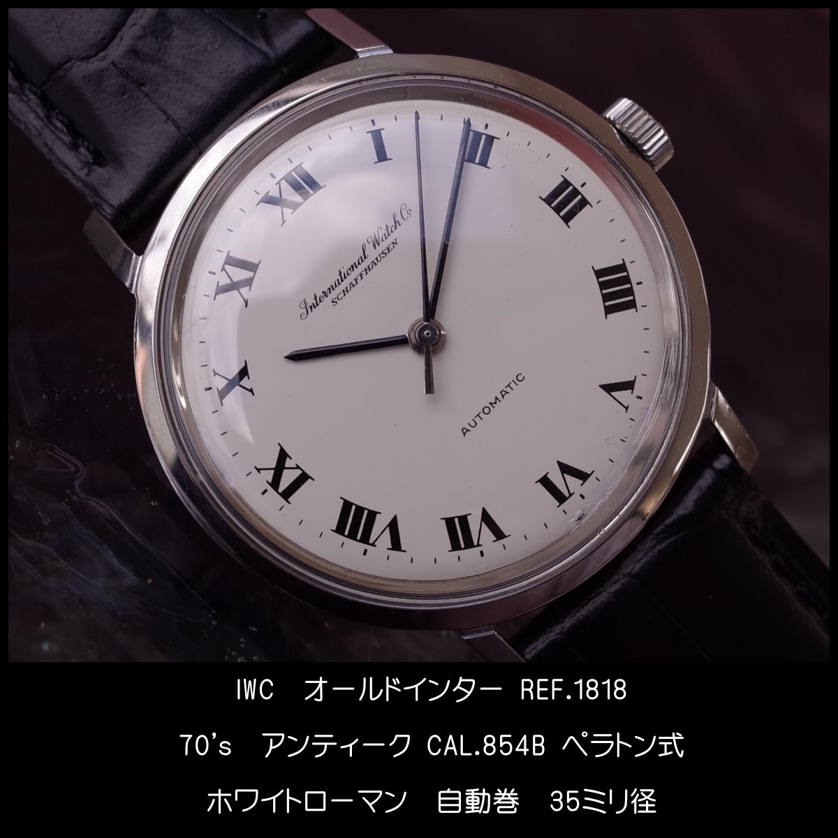 SELDICA アナログ 腕時計 SD-AM047-SVT【送料無料】