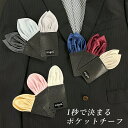 ポケットチーフ 台紙付き ワンタッチ メンズ チーフ 結婚式 白 シルバー ワイン ネイビー ブルー イエロー ピンク
