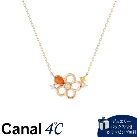カナルヨンドシーCanal4℃カナ...