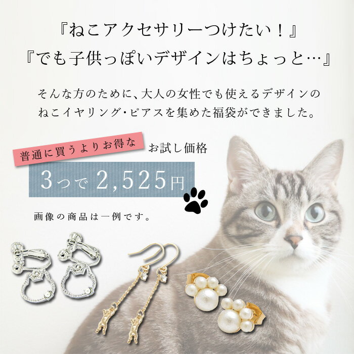 全品対象クーポン配布中！福袋 ネコアクセサリー イヤリング ピアス 猫グッズ ねこ ネコ 猫 にゃんこ イヤーアクセ レディース 女性 Luxury's ラグリーズ クリスマス 2