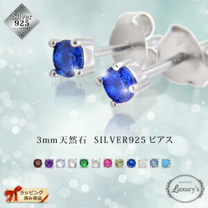 оݥݥ桪ԥ Сԥ Silver925 ŷ ʪ ѥȡ  åɥԥ   åԥ󥰺Ѥ åԥ̵ Luxury's 饰꡼