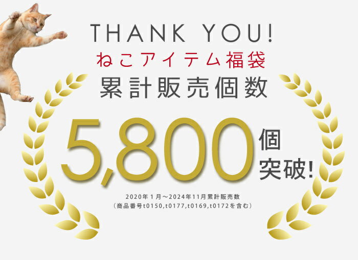 全品対象クーポン配布中！福袋 ネコアクセサリー イヤリング ピアス 猫グッズ ねこ ネコ 猫 にゃんこ イヤーアクセ レディース 女性 Luxury's ラグリーズ クリスマス