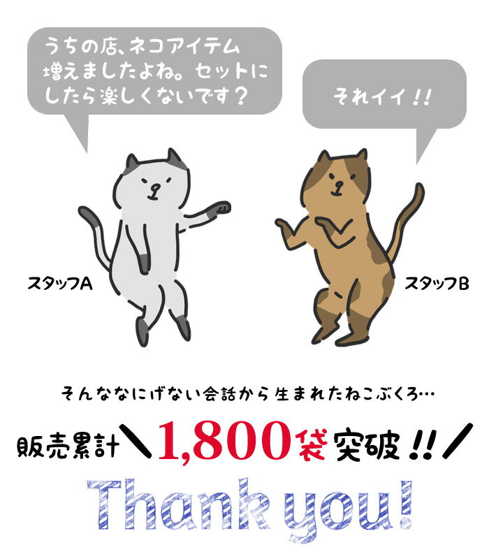 猫 福袋 2019 レディース アクセサリー ねこ グッズ　猫グッズ 雑貨 プレゼント 女性 おしゃれ ヘアアクセサリー ネコ キャット にゃんこ ねこぶくろ 黒猫 ヘアゴム ヘアピン ヘアアクセ 大人女子 ネックレス クリップ シュシュ アイテム ブローチ セット r2018_ss