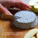 チーズ セル・シュール・シェール シェーブルチーズ フランス産 山羊乳 AOPチーズ＜無殺菌乳＞ 3
