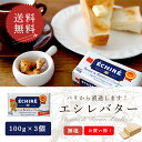 【送料無料・3個セット】エシレ 無塩バター 100g×3個セット|AOP認証 フランス産 発酵バター 殺菌乳|ブロックタイプ ECHIRE パリ直送