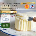 バター トリベオーイズニー 有塩バター【250g】発酵バター 高級バター 新鮮 AOP パリ直送 フレッシュバター冷蔵空輸品 ノルマンディー地方 日本未入荷 フ...