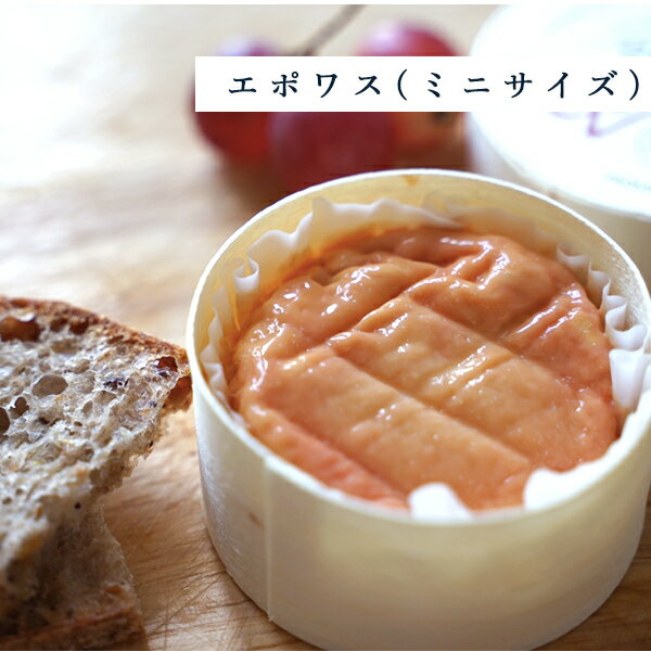 【パリ直送】エポワス ミニ 70g|AOP認証 フランス産 ブルゴーニュ名産 ウォッシュチーズ 無殺菌乳|チーズの王