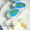チーズ カプリスデデュー ミニ 【50g】ミニカプリス 白カビ チーズ フランス産 パリ 直送 食べきりサイズ