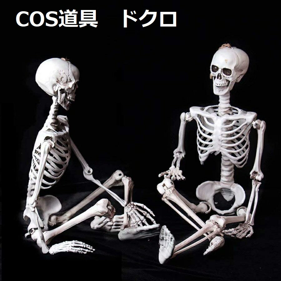 『あす楽 即日発送対応 』ハロウィン 飾り 骸骨 ドクロ 模型 モデル 人体 骨格 頭蓋骨 スケルトン 幽霊シミュレーション リアル 肝試し 学習用教材 ゴーストハウス パーティー 髑髏 ドクロ 置物 小道具のサムネイル