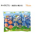 キャタピラン（75cm）結ばない靴ひも【ギフト対応可】【送料無料】