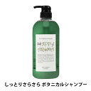 フェルミナ FERMINA ハッピーアロマ HAPPY AROMA ボタニカルシャンプー 本体 700ml