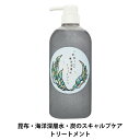 フェルミナ FERMINA 利尻こんぶ 海洋深層水 トリートメント 本体 700g スキャルプケア 昆布 炭 泥 頭皮ケア 吸着