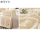 毛布 もうふ ふわふわ もこもこ毛布 ブランケット ボアフリース 温かい毛布 100*150cm ハーフケット 大きいサイズ 毛布と掛ふとん兼用 ひざ掛け ソファー掛け 冬用毛布 柔らかく 冷え対策 丸洗い可 あったか INS風(4)