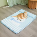 犬パッド夏、猫ベッド夏、凉感犬ベッド枕付、ウォッシャブルドッグマット、犬猫クッションが付いています ペットベッド、小型、中型,大型犬ペットに適して、四季は通用し (片側枕青, S)