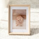 写真立て フォトフレーム 写真たて おしゃれ 金退職 プレゼント お洒落 結婚記念 誕生日 アクリル 誕生記日 かわいい 結婚 出産 内祝い 引き出物 婚式 きれい かわいい 写真立 フォトフレーム
