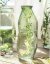 一輪挿し ガラス 花瓶 フラワーベース クリア 透明 ガラス花瓶 和風 花器 グリーン-デザインB 大きい かびん ガラスベース ガラスボトル アレンジ インテ...