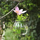 壁掛けガラス花瓶 水栽培 一輪挿し 壁掛け 花瓶 多肉植物 造花 フェイクグリーン ミニ花器 かわいい おしゃれ ミニ観葉植物 水耕栽培ポット ガラスベース ク...