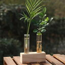 壁掛け 一輪挿し 花瓶 ガラス管 ひし形 多肉植物 水耕栽培 試験管ガラス花瓶 水栽培 卓上花瓶 小さい 花器 フラワーベース 金属製フレーム スタイル06 家...