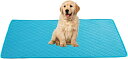 大型犬 40*30cm 犬 猫用洗えるペットシーツ トイレシーツ 吸水マット 2枚組 ブルー 速乾 防水 抗菌 消臭 滑り止め ずれない おしっこパッド 介護シ...