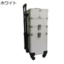 キャスター付き キャリーケース 三層 プロ用メイクボックス アルミ プロ仕様 大容量 化粧ケース ハンドル付き 救急箱 アーティストキャリアードレッサー 美容師 出張 旅行用 便利 多機能 プレゼント