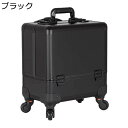 キャリーバッグ 大容量 コスメボックス キャスター付き 取外し可 キャリーボックス プロ用 仕切り 宝石箱 ネイル 画材収納 お手入れも簡単 コスメティックオーガナイザー トラベル 旅行 プレゼント