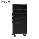 キャスター付き トロリーケース 収納ボックス メイク箱 プロ 引き出しトレー 4層 大容量 メイクケース 仕切り ツール箱 ローリングトレインケース 美容師 出張 旅行用 便利 多機能 ファッション