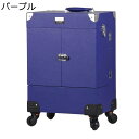 メイクキャリーケース 大容量 業務用化粧ケース キャスター付き 鏡付き キャリーボックス プロ仕様 仕切り ツール箱 ネイル収納 たくさん収納 ネイル収納ツールボックス トラベル 旅行 ファッション