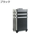 メイクキャリーケース 大容量 メイクケース キャスター付き 2層 メイクボックス プロ仕様 仕切り付き 救急セット ネイル 画材収納 使用便利 大型メイクアップキャリングケース 出張 旅行用 プレゼント