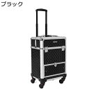 プロ用メイクボックス キャスター付き 大型 キャリー プロ 大容量 鍵付き メイクbox アルミ 仕切り付き お手入れも簡単 化粧品収納 ヘアメイク 美容師 トラベル 旅行 ツール箱 ファッション 黒