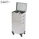 キャスター付き トロリーケース LEDライト プロ用メイクボックス プロ仕様 大容量 化粧ケース 仕切り付き 多機能 大型メイクアップキャリングケース 美容師 出張 旅行用 持ち運び簡単 プレゼント