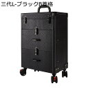 キャリーバッグ 大容量 業務用化粧ケース キャスター付き キャリーボックス 業務用 仕切り 薬箱 引き出し アート用品収納 たくさん収納 ホイールコスメティック収納ボックス トラベル 旅行 贈り物