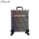 業務用 メイクボックス 豹柄 メイクケース キャスター付き トロリー 大容量キャスター付き化粧ケース ハンドル付き 化粧 ヘアメイク お手入れも簡単 コスメティックケース トラベル 旅行 ファッション