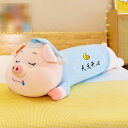 ぬいぐるみ ブタ だきまくら 抱き枕 90cm 豚人形 添い寝枕 かわいい 女の子 お誕生日 ふわふわ もちもち 癒し系 お祝い 大きい クリスマス バレンタイ...