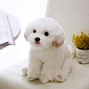 トイプードル 犬 おもちゃ リアル タイプ テディベア 犬のぬいぐるみ かわいい 安眠グッズ 添い寝枕 人形 スイートパピー トイプードル おもちゃ ふわふわ ...