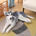 リアルぬいぐるみ かわいい グレー ハスキー 犬 置物 本物そっくり 69cm 手作り 萌え萌え 人気 ワンコ おもちゃ インテリア お店飾 お見舞い 子ども部屋 誕生日 贈り物 ギフト ドッグ 伏せ